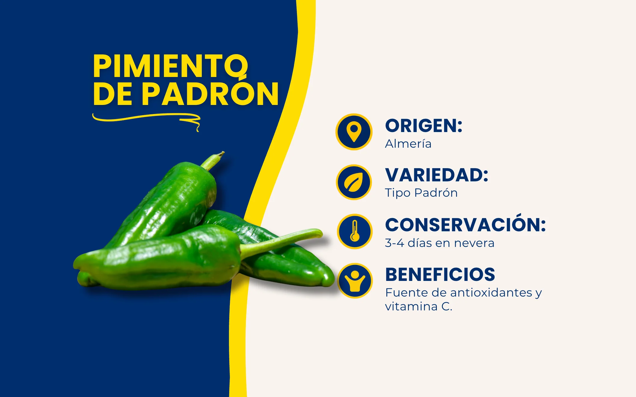 Imagen del producto 2
